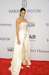 25379125_Chanel-Iman--2016-amfAR-New-Yor