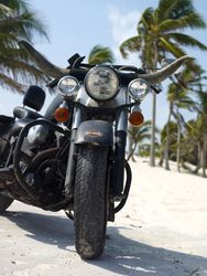 Suzie Carina - Harley Davidson-f4vquwl2rg.jpg
