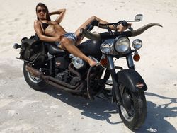 Suzie Carina - Harley Davidson-j4vquxa7dc.jpg