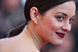 27397664_mcottilard150516BZNimage4.jpg