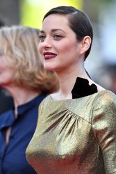 27397672_mcottilard150516BZNimage12.jpg