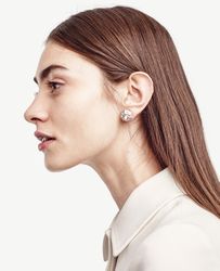27486932_at_a2.jpg