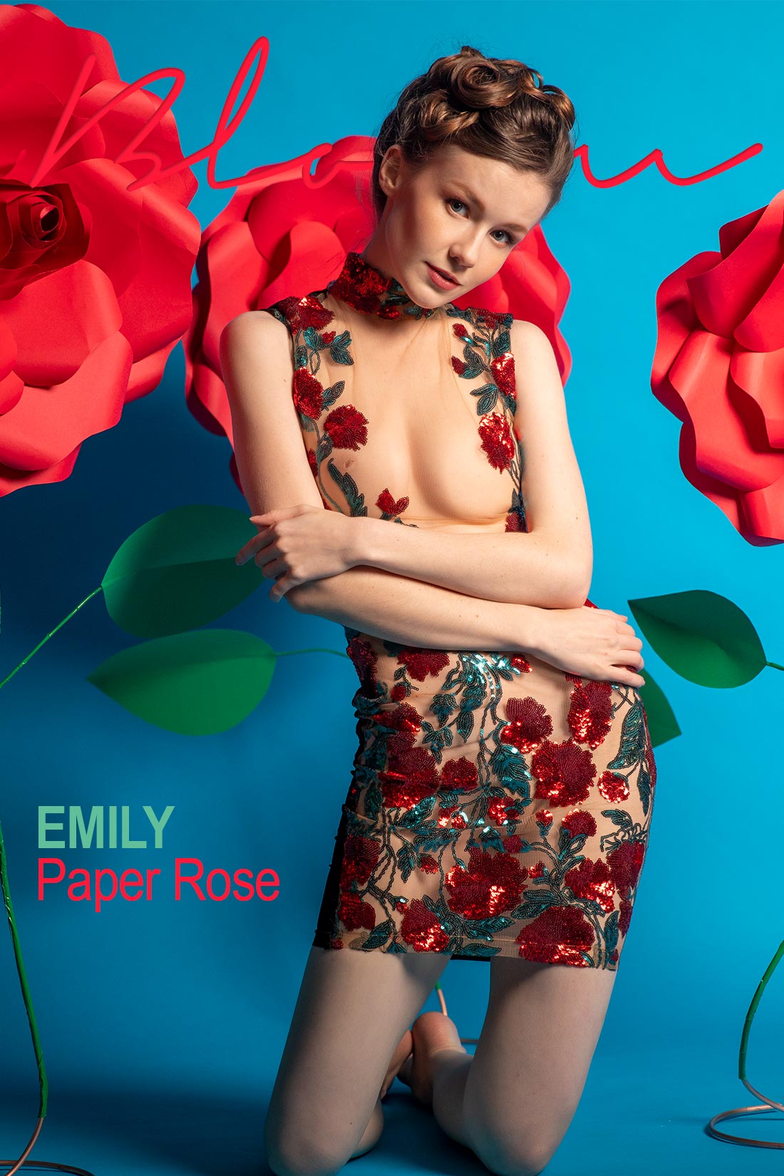 paper rose photoset cover